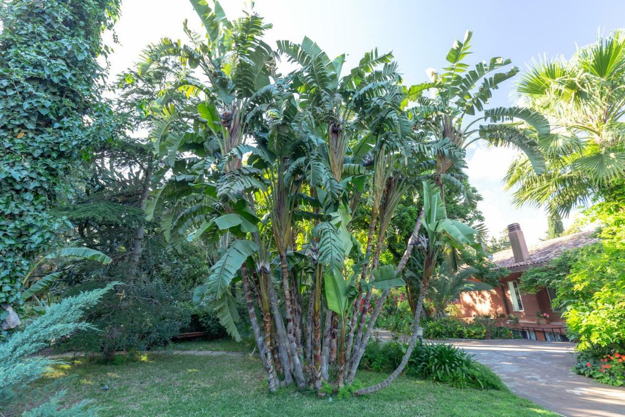 Il Giardino Di Michela By Domusicily Mondello Exterior foto